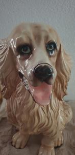 Amerikaanse cocker spaniel, Ophalen of Verzenden, Gebruikt, Overige typen