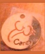 Winkelwagenmuntje Careyn. Thuiszorgorganisatie, Ophalen of Verzenden