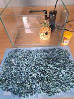 Aquarium compleet, Dieren en Toebehoren, Ophalen, Gebruikt, Gevuld zoetwateraquarium