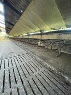 Div beugels, ligboxen stal melk installatie, Dieren en Toebehoren, Stalling en Weidegang, Weidegang