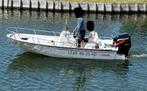 Boston Whaler Dauntless 15 - “De Raket” - 115pk en trailer, Watersport en Boten, Vis- en Consoleboten, 70 pk of meer, Gebruikt