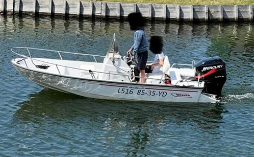 Boston Whaler Dauntless 15 - “De Raket” - 115pk en trailer, Watersport en Boten, Vis- en Consoleboten, Gebruikt, 70 pk of meer