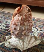 Tafellamp, lamp, schelp, vintage, Ophalen