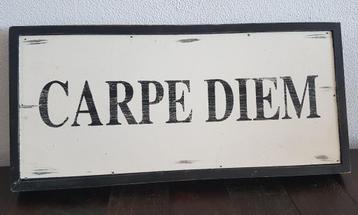 Houten Carpe Diem tekstbord beschikbaar voor biedingen