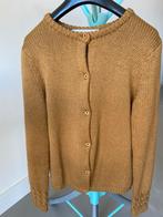 Vest., Kleding | Dames, Truien en Vesten, Ophalen of Verzenden, Gedragen, Maat 38/40 (M), Overige kleuren
