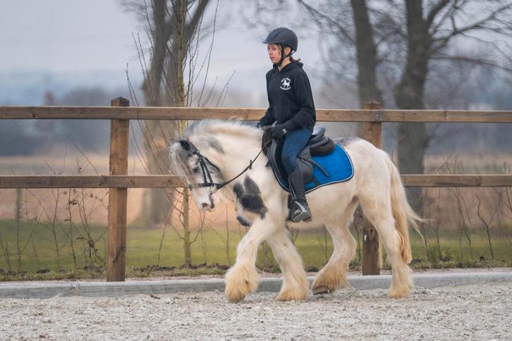 Lieve en schattige Tinker pony, Dieren en Toebehoren, Pony's, Ruin, Zadelmak, B pony (1.17m tot 1.27m), Recreatiepony, 3 tot 6 jaar