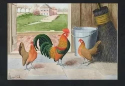 Pluimvee Kippen Hollandse Kriel Boerderij, Van Gink, Ophalen of Verzenden, 1980 tot heden, Ongelopen, Vogel