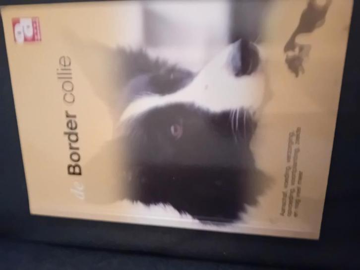 De Border Collie, Boeken, Dieren en Huisdieren, Zo goed als nieuw, Honden, Ophalen of Verzenden