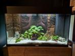 Juwel Rio125 Aquarium met zelfgemaakte kast en veel extras, Dieren en Toebehoren, Vissen | Aquaria en Toebehoren, Ophalen, Gebruikt