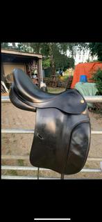 Prestige dressuur, Dieren en Toebehoren, Ophalen of Verzenden, Gebruikt, Dressuur