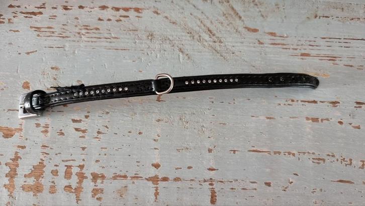 NIEUWE, ONGEBRUIKTE LEDEREN HALSBAND - INFO ZIE ADVERTENTIE, Dieren en Toebehoren, Hondenhalsbanden en Penningen, Nieuw, Ophalen of Verzenden