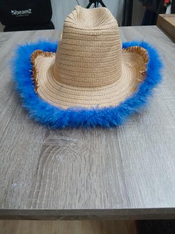 Sombrero met blauwe rand beschikbaar voor biedingen