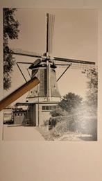 Foto Vreeland molen de Ruiter, Verzamelen, Ansichtkaarten | Nederland, Utrecht, 1960 tot 1980, Ongelopen, Verzenden
