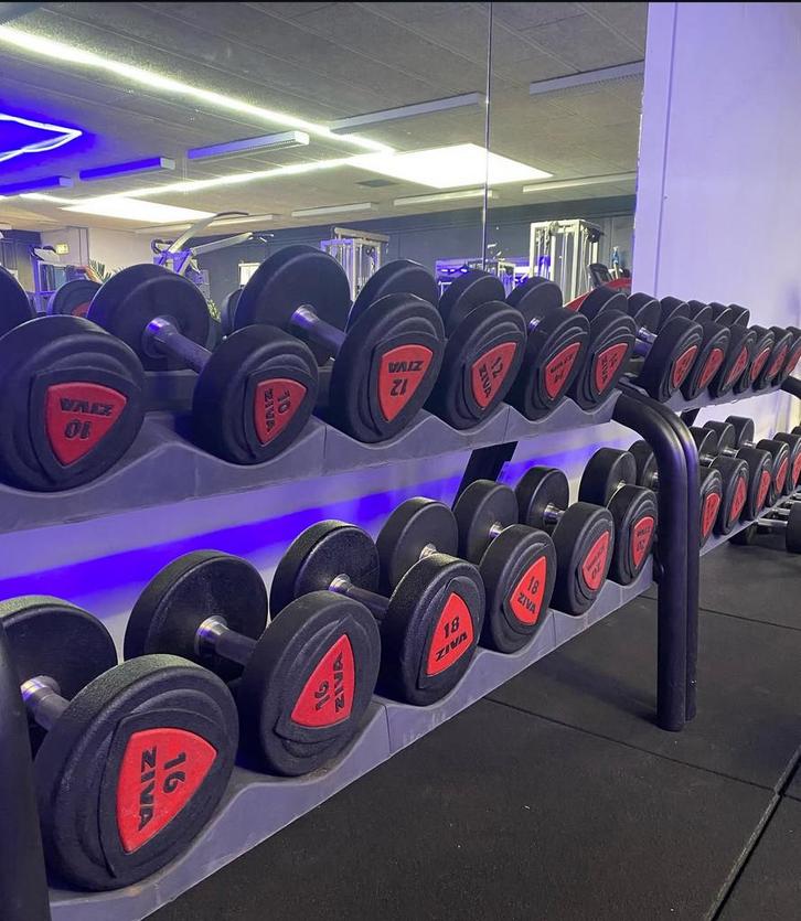 Ziva Dumbbell Set 10-40 kg met Technogym rekken!, Sport en Fitness, Fitnessmaterialen, Gebruikt, Dumbbell, Armen, Ophalen