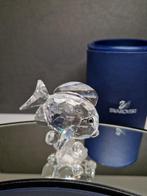 Swarovski beeldje Doktersvis 2007, Verzamelen, Swarovski, Ophalen of Verzenden, Zo goed als nieuw, Figuurtje