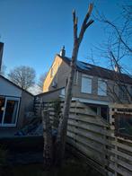 Hout, Minder dan 3 m³, Ophalen, Overige houtsoorten, Stammen