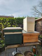 Dadant US bijenkasten 2 x, & 1 kunstof 6 raams met voerbak., Bijen