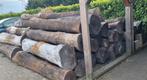 Gewaterd iepenhout Iepen stammen, Doe-het-zelf en Verbouw, Hout en Planken, Ophalen of Verzenden, Zo goed als nieuw, Plank, 50 mm of meer