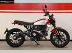 DUCATI DUCATI SCRAMBLER ICON (bj 2025), Motoren, Motoren | Ducati, 2 cilinders, Bedrijf, Meer dan 35 kW, Overig