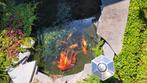Vijver, inclusief sluierstaart goudvissen, pomp en filter, Tuin en Terras, Ophalen, Gebruikt