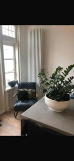 Zehnder ledenradiator Charleston K5220 220x44, Doe-het-zelf en Verbouw, Ophalen, Gebruikt, Radiator, Minder dan 60 cm