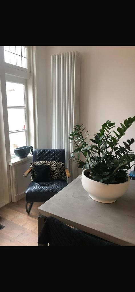 Zehnder ledenradiator Charleston K5220 220x44, Doe-het-zelf en Verbouw, Verwarming en Radiatoren, Gebruikt, Radiator, 800 watt of meer