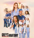 Grey's Anatomy seizoen 21 - Nederlandse ondertiteling DVD, Ophalen of Verzenden