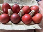 Broedeieren kleurleggers, groenleggers, marans, cream legbar, Dieren en Toebehoren, Pluimvee, Geslacht onbekend, Kip