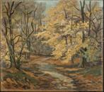 Thijs Mauve 1915 - 1996) Lunterse buurtbos, Ophalen of Verzenden