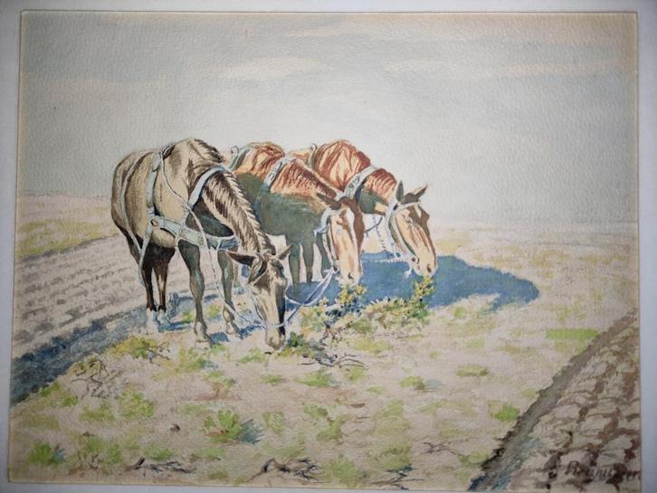 Edmund Beringer aquarel Rou(w)veen.Gemeente Staphorst.Gesign, Antiek en Kunst, Kunst | Schilderijen | Modern, Ophalen of Verzenden