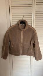 Beige teddy jas maat 146-152, Kinderen en Baby's, Kinderkleding | Maat 146, Ophalen of Verzenden, Zo goed als nieuw, Meisje, Jas