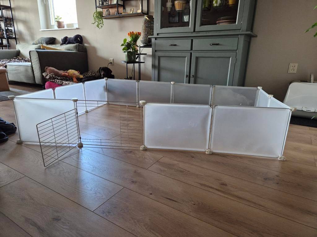 Kitten of knaagdierenverblijf, Ophalen