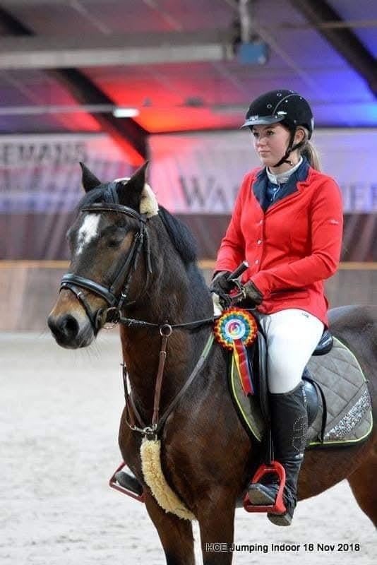 westfalen merrie / c pony/ jaarling welsh te koop, Dieren en Toebehoren, Paarden, Merrie, ZZ, Gechipt, 160 tot 165 cm