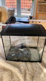Aquarium, Dieren en Toebehoren, Ophalen, Gebruikt, Leeg aquarium