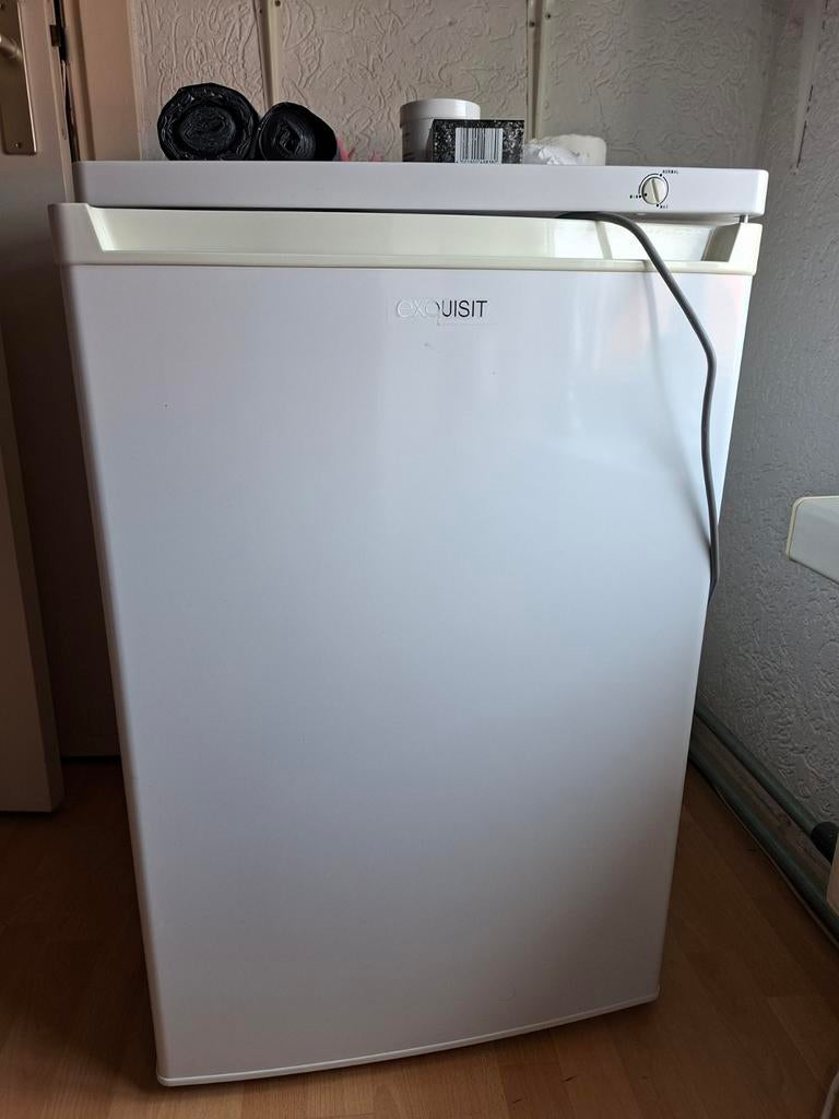 Diepvries, Witgoed en Apparatuur, Vriezers en Diepvrieskisten, Ophalen, Minder dan 60 cm, 160 cm of meer