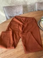 Heerlijke pantalon( Mt 44), Kleding | Dames, Bruin, Maat 42/44 (L), Ophalen of Verzenden, Zo goed als nieuw