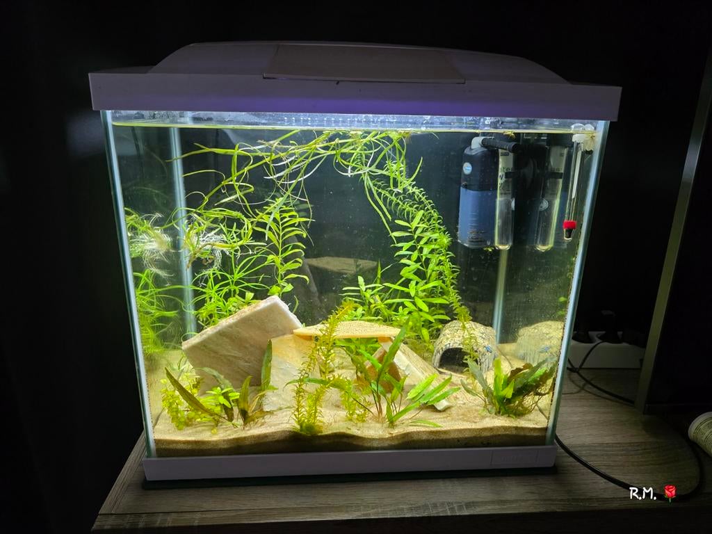 Superfish start 50 aquarium., Dieren en Toebehoren, Ophalen, Gebruikt, Gevuld zoetwateraquarium, Superfish