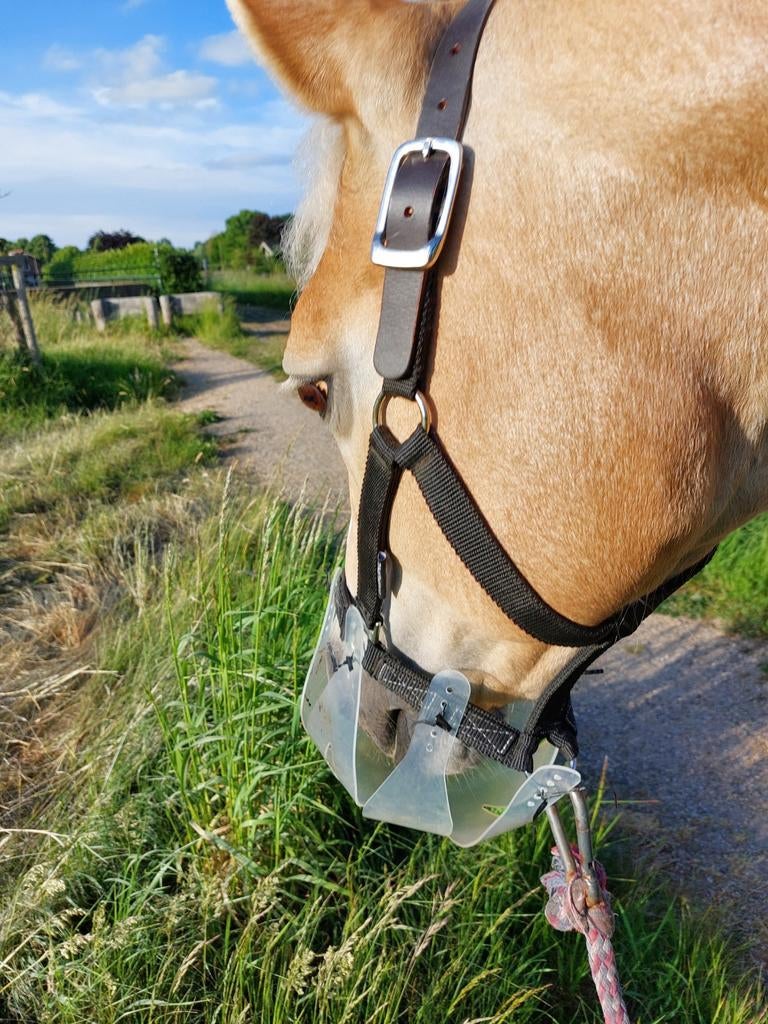 ThinLine graasmasker en breakaway halter Cob, Ophalen of Verzenden, Zo goed als nieuw, Overige soorten
