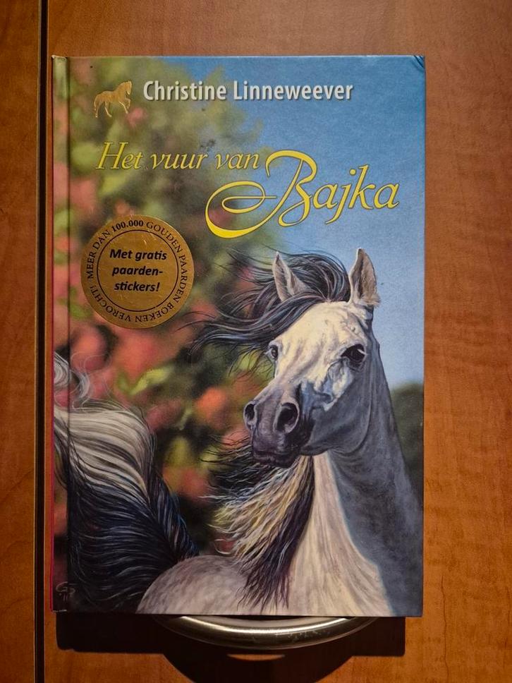 Het vuur van Bajka - Christine Linneweaver, Boeken, Kinderboeken | Jeugd | onder 10 jaar, Zo goed als nieuw, Fictie algemeen, Ophalen of Verzenden