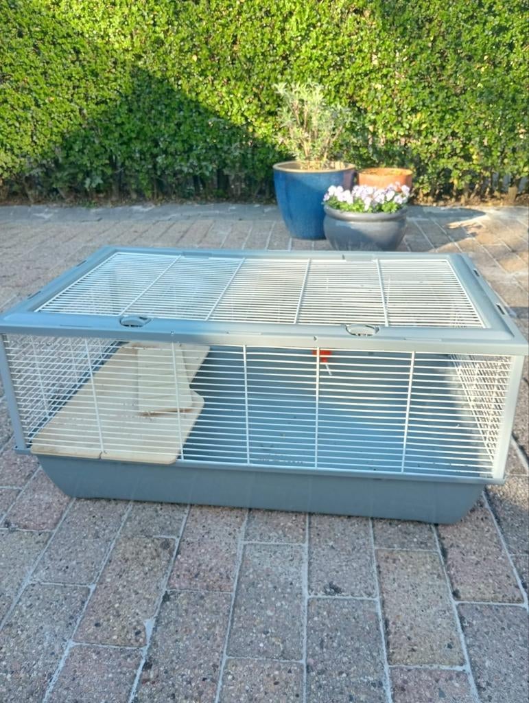 Mooie hamster kooi met toebehoren., Kooi, Minder dan 75 cm, Zo goed als nieuw, Hamster