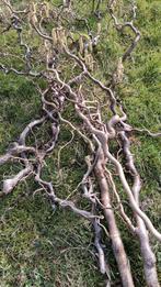 Paas takken, Minder dan 3 m³, Ophalen of Verzenden, Takken