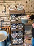 Wiccakorrels - 20 stuks verschillende kleuren, Diversen, Rommelmarktspullen, Ophalen, Zo goed als nieuw