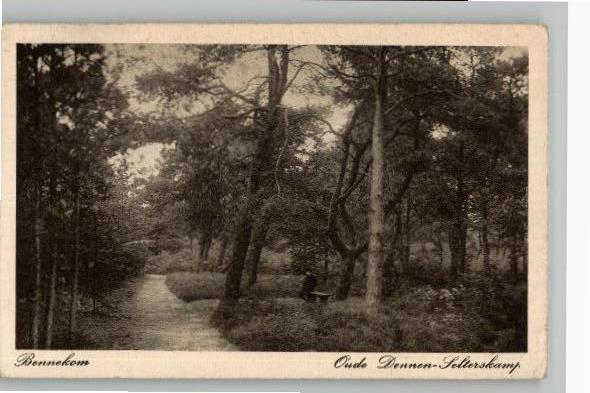 Bennekom Oude Dennen Selterskamp, Verzamelen, Ansichtkaarten | Nederland, Gelopen, Gelderland, 1920 tot 1940, Verzenden