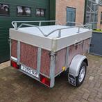 SARIS RT600 | Zeer Degelijk, Ophalen