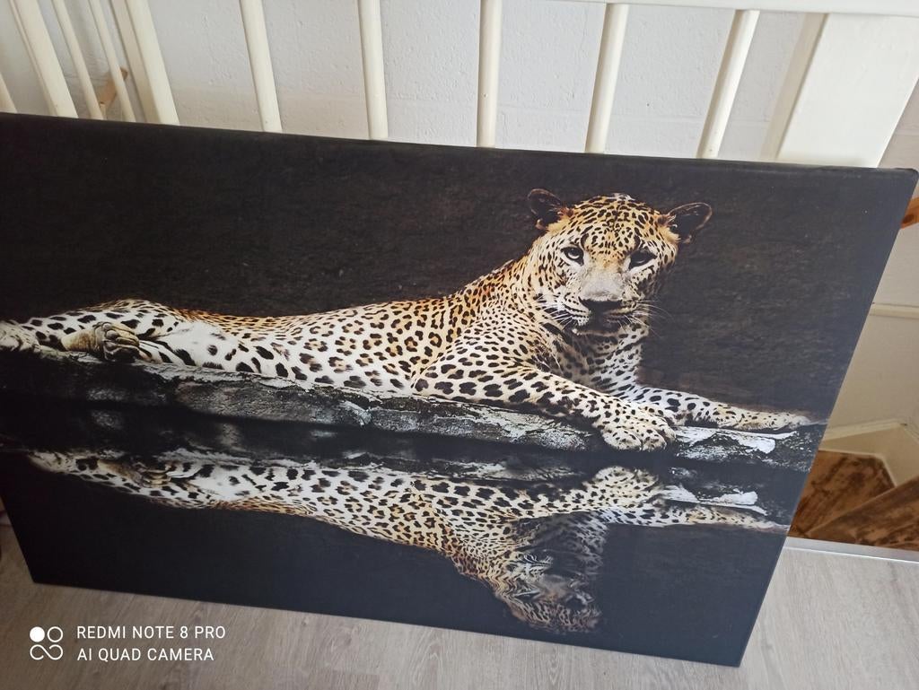 Panter Canvas, Huis en Inrichting, Woonaccessoires | Schilderijen, Tekeningen en Foto's, Ophalen, Schilderij, Minder dan 50 cm