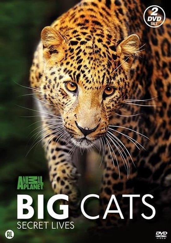 Animal Planet - Big Cats diary - secret lives - natuurdocu, Gebruikt, Alle leeftijden, Boxset, Natuur