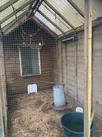 Kippenhok, Ophalen, Kippenhok of Kippenren