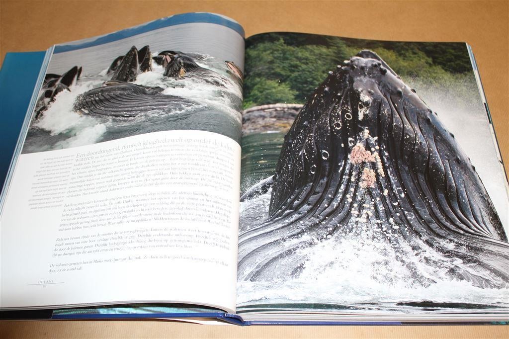 Oceans. Groot fotoboek over zeeën & dieren., Boeken, Natuur, Ophalen of Verzenden, Zo goed als nieuw, Natuur algemeen
