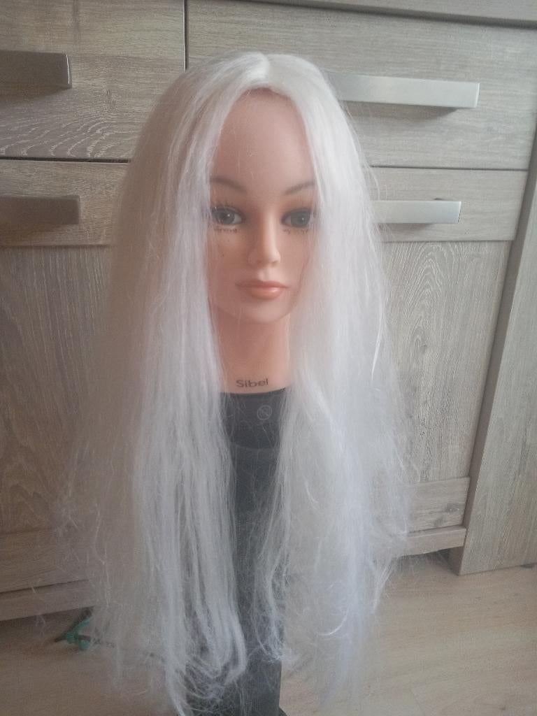 Pruik voor Carnaval, Ophalen of Verzenden, Zo goed als nieuw, Carnaval, Accessoires