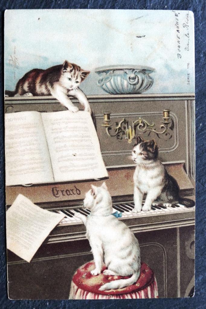 Poezen dagen elkaar uit bij het pianospelen, 1908, Verzenden, Voor 1920, Gelopen, Hond of Kat